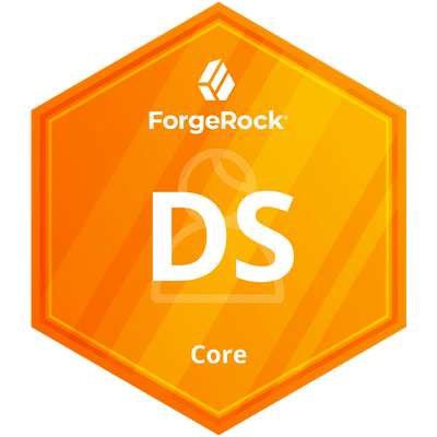 ForgeRock DS - core